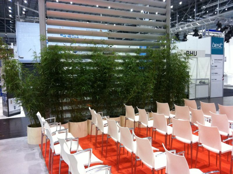 Firmenevent Begrünung Düsseldorf