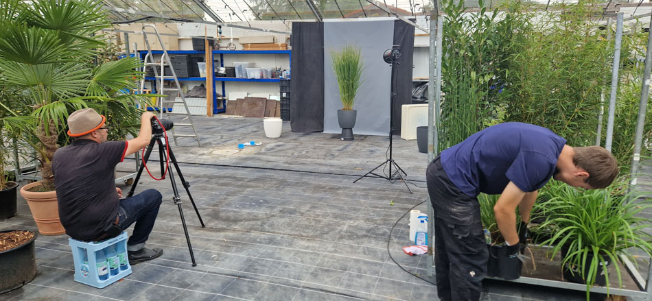 Pflanzen Fotoshooting Köln