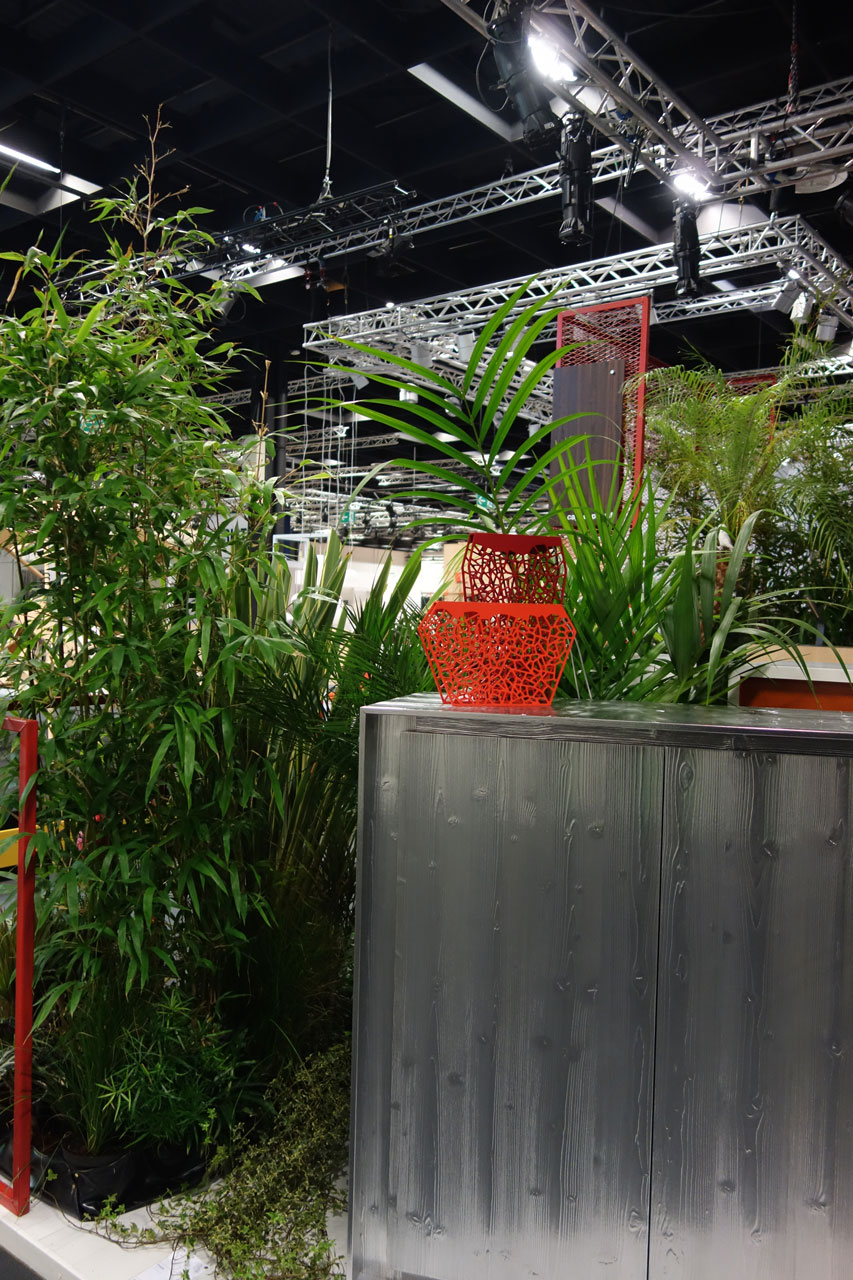 Bambus Pflanzen Event Köln