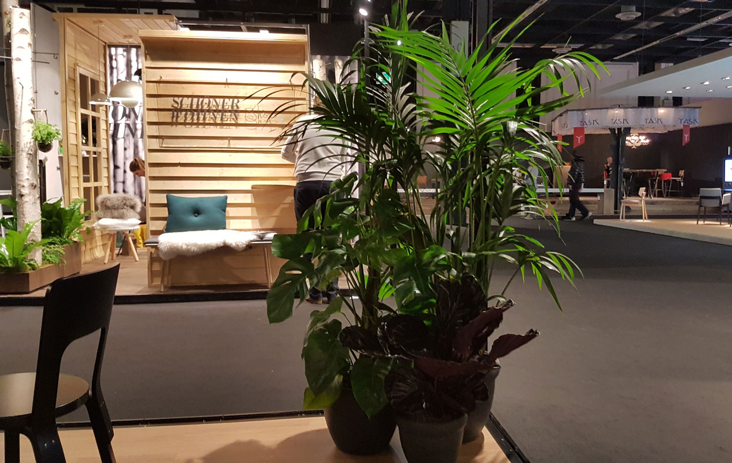 Event mit Palmen Köln