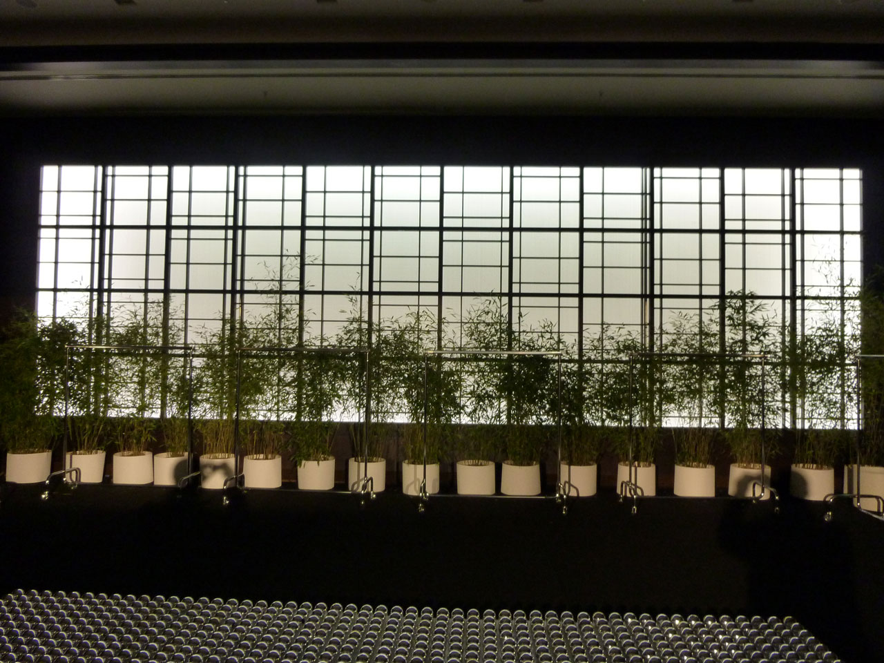 Bambus Modeevent Düsseldorf