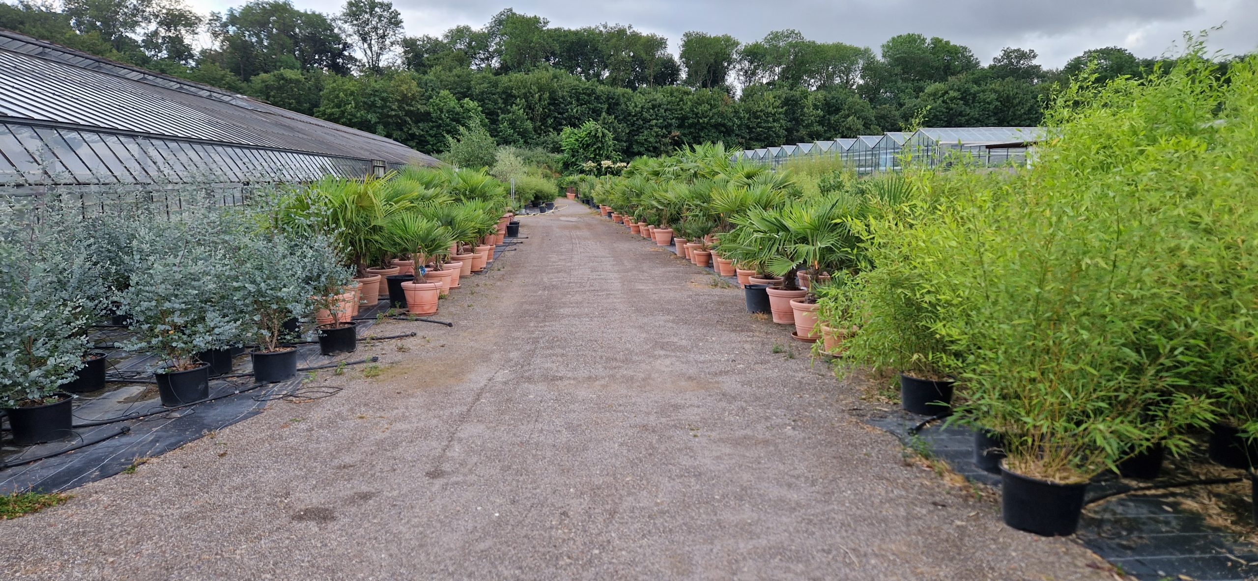 Systemgrün Eventbegrünung Außengelände